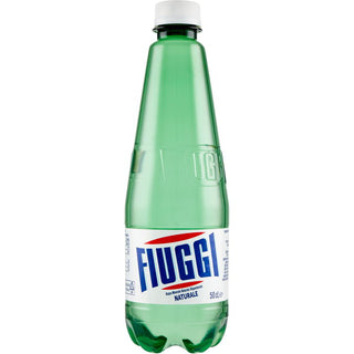 Fiuggi Acqua PET 500 ML